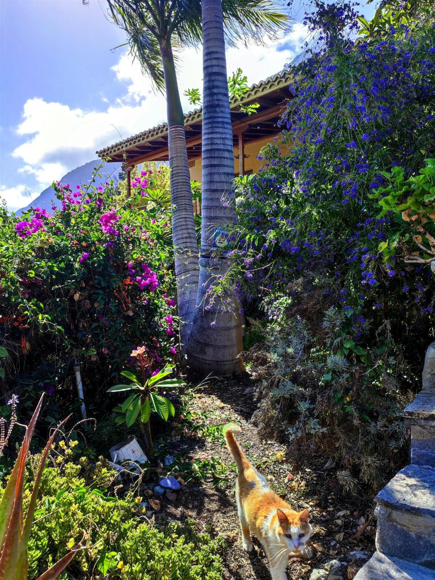 Rivendell Eco Lodge El Paso Exteriér fotografie